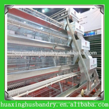 A&H type bird trap cage for chicken for poultry with automatic nipple drinkers